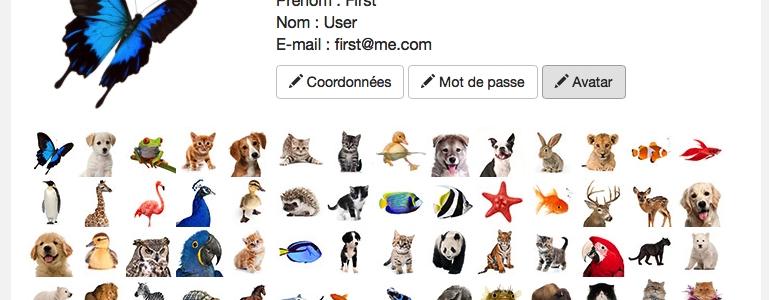 _images/141.png
